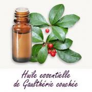 Gaultherie coucee