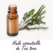 Tea tree